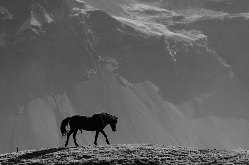 Mountain Elegance